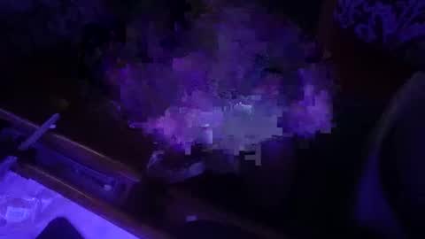 dankfuckcouple online show from September 28, 12:32 pm