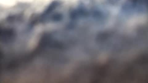 dannowisc online show from February 17, 2:52 am