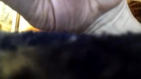 dannowisc online show from April 5, 3:26 am