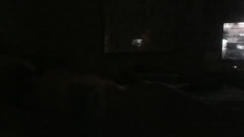 Snapshot of dannyb618 chatting on December 24, 5:49 am Danielle online show from December 24, 5:49 am
