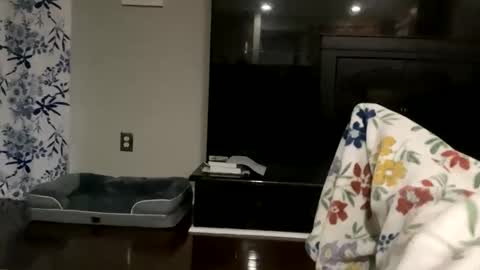 dannyboy621 online show from October 17, 11:24 am