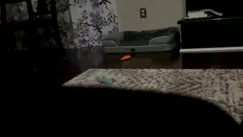 dannyboy621 online show from October 20, 9:43 am