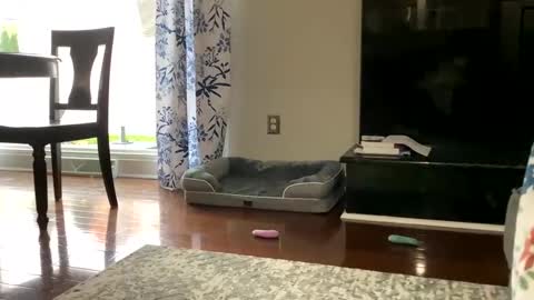 dannyboy621 online show from October 25, 1:18 pm