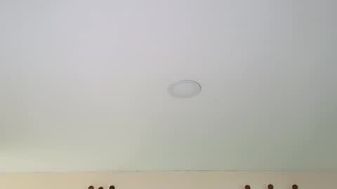 Dante online show from February 13, 8:55 pm