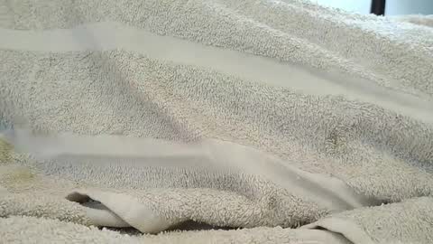 dapppper online show from September 18, 6:10 pm