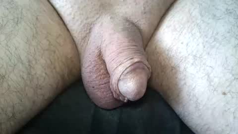 dapppper online show from June 15, 1:46 pm