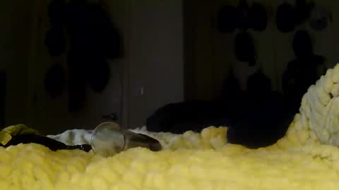 Snapshot of darichrichardson chatting on January 13, 6:08 am Betty and Robert Play time online show from January 13, 6:08 am