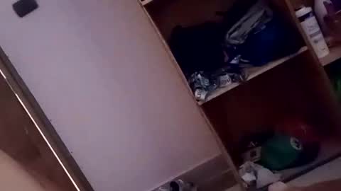 dario1127 online show from October 13, 1:33 pm