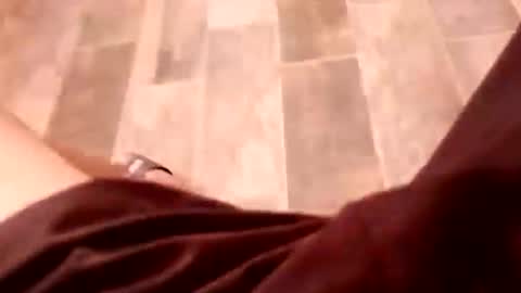 dario1127 online show from December 15, 6:45 pm