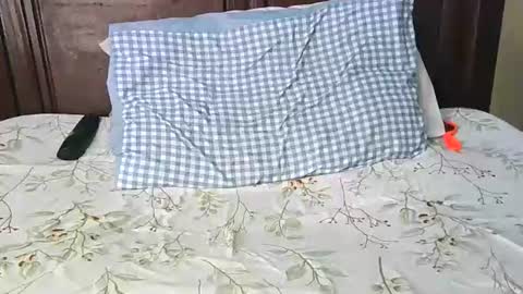 Snapshot of darkskinebony chatting on February 7, 3:05 pm darkskinebony online show from February 7, 3:05 pm