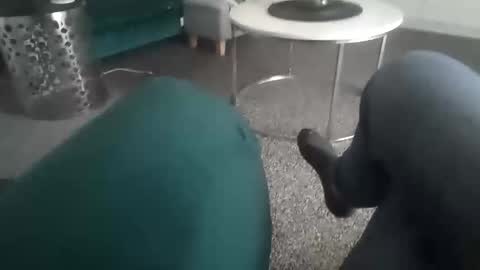 davidf75 online show from November 11, 12:49 pm