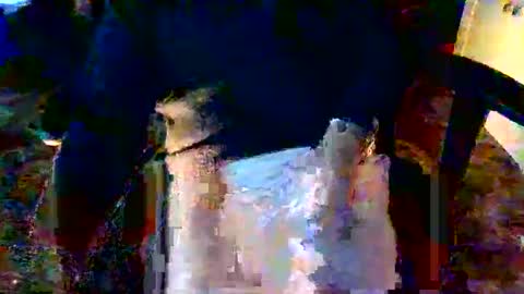 davidneedmore online show from March 3, 2:34 pm