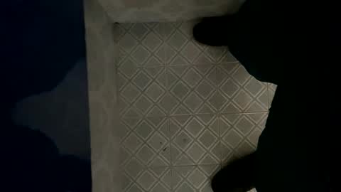 davzsoher online show from January 6, 8:07 pm