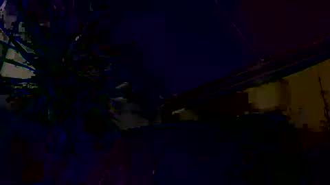 dayblue online show from March 1, 9:33 am