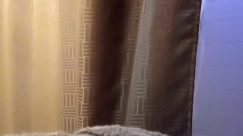 Snapshot of dbossxtina chatting on November 12, 8:48 am dbossxtina online show from November 12, 8:48 am