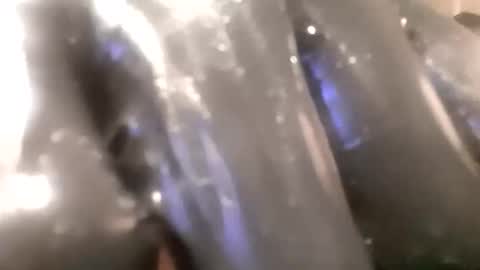 ddick0303 online show from November 14, 4:00 am