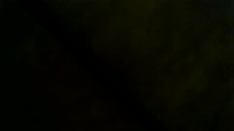 Snapshot of dealr9 chatting on March 29, 5:07 am dealr9 online show from March 29, 5:07 am