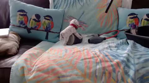 Snapshot of deeperjohnny chatting on October 21, 3:35 pm deeperjohnny online show from October 21, 3:35 pm