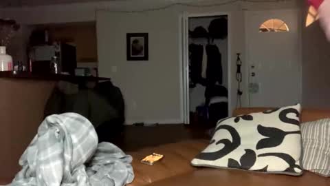  more content and goodies online show from December 29, 11:18 am