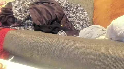 Deez Nutz online show from September 9, 1:38 am