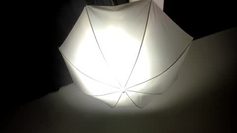 Snapshot of dei_v_48 chatting on February 14, 8:31 am DEIVY online show from February 14, 8:31 am