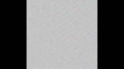 Ducky online show from October 19, 5:13 pm