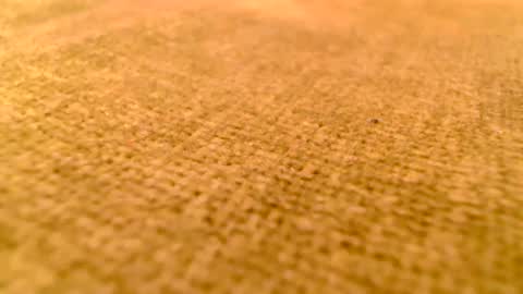 deliciaalove online show from December 17, 7:37 pm