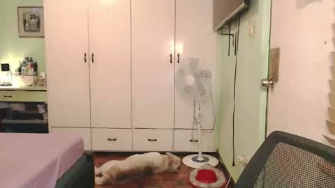 Snapshot of deliciosats chatting on May 18, 1:56 am Mercedes online show from May 18, 1:56 am