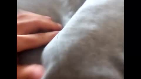 deliv_shopi online show from November 17, 1:50 pm