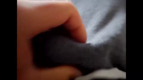 deliv_shopi online show from December 1, 9:47 am