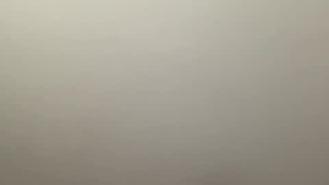 Delivery      online show from January 4, 9:52 pm