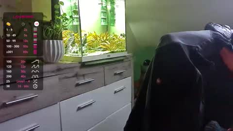 Denise and Brad online show from November 1, 7:21 am