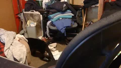 desolation2012 online show from March 27, 5:02 am