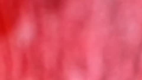 Marcus D-von Steel as the raunchy ass sniffer thrill me with your online show from January 12, 10:42 am