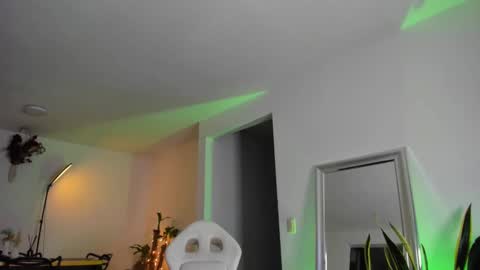 Diego online show from February 26, 8:04 am