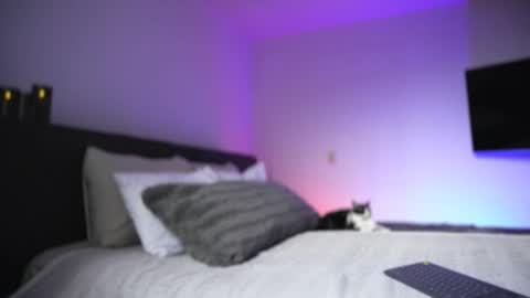 Diego online show from November 26, 8:54 pm