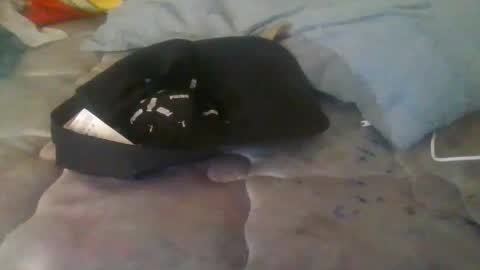 Snapshot of diamondeye112 chatting on December 23, 5:05 am diamondeye112 online show from December 23, 5:05 am