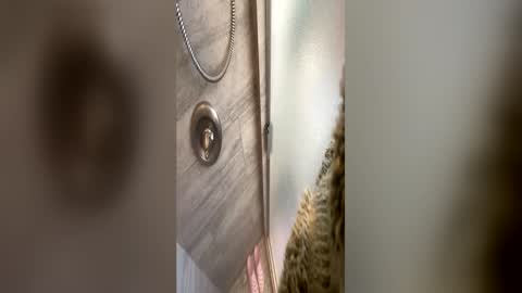 diamondnati22 online show from June 14, 1:57 pm