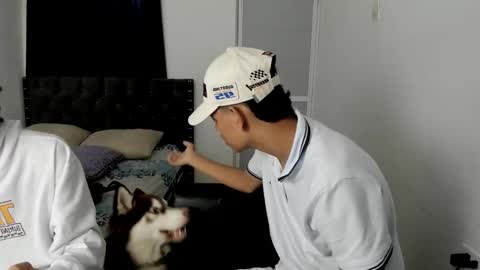 dick online show from December 2, 12:10 pm