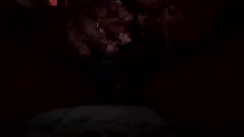 Snapshot of dickdynamics chatting on January 13, 6:40 am dickdynamics online show from January 13, 6:40 am