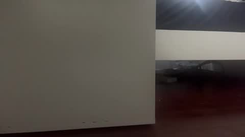 dickmanthe1 online show from January 13, 6:57 pm