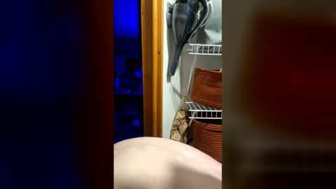 DickTaterish online show from May 5, 6:43 am