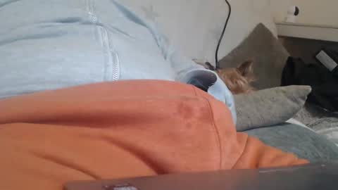 DiegoVLC online show from March 20, 11:37 am