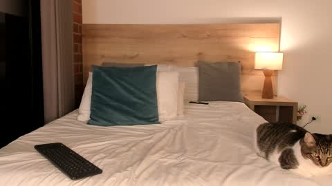 Snapshot of dilarahkessh chatting on January 23, 10:32 am Dilarahkesh online show from January 23, 10:32 am