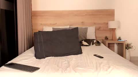 Snapshot of dilarahkessh chatting on February 16, 7:15 am Dilarahkesh online show from February 16, 7:15 am