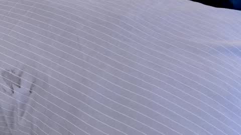 Dilldough405 online show from February 24, 7:55 am