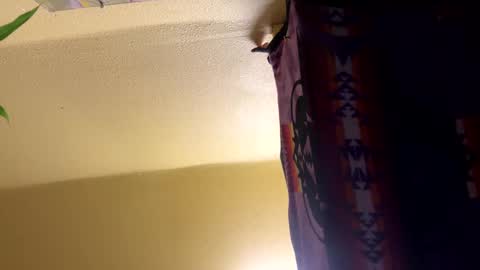 Snapshot of dimepiecebottom chatting on December 8, 1:47 pm dimepiecebottom online show from December 8, 1:47 pm