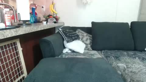 Sofie online show from December 23, 8:33 am