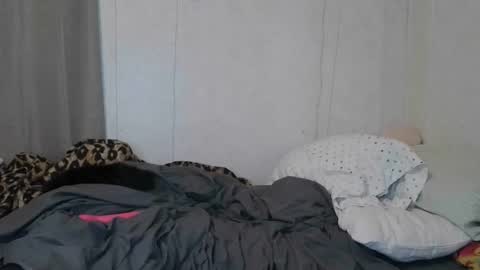 Sofie online show from January 8, 8:49 am