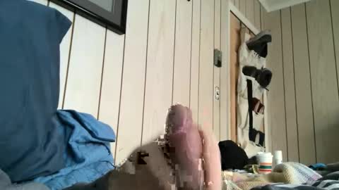 Snapshot of dingbat1979 chatting on February 3, 3:39 pm dingbat1979 online show from February 3, 3:39 pm